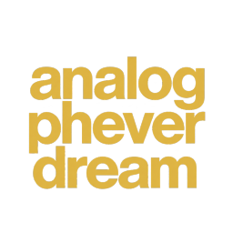 analog phever dream